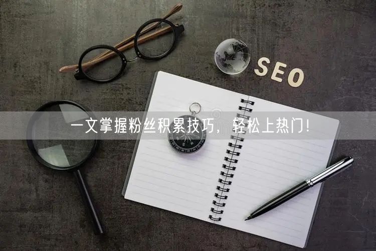 一文掌握粉丝积累技巧，轻松上热门！