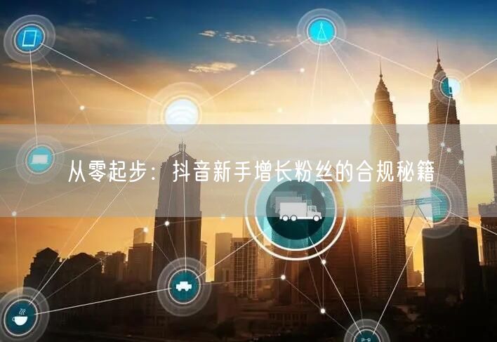 从零起步：抖音新手增长粉丝的合规秘籍