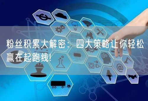 粉丝积累大解密：四大策略让你轻松赢在起跑线!