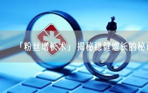 「粉丝增长术」揭秘稳健增长的秘诀
