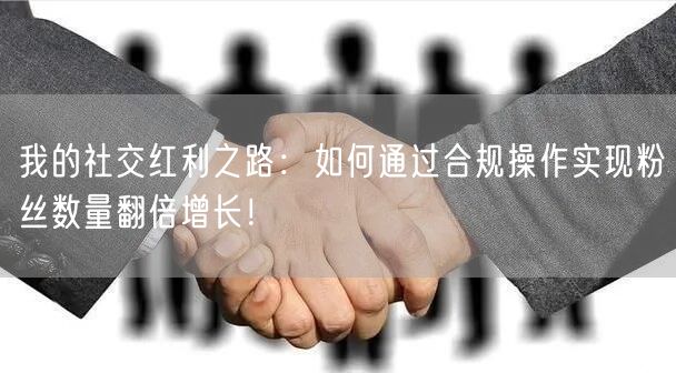 我的社交红利之路：如何通过合规操作实现粉丝数量翻倍增长！