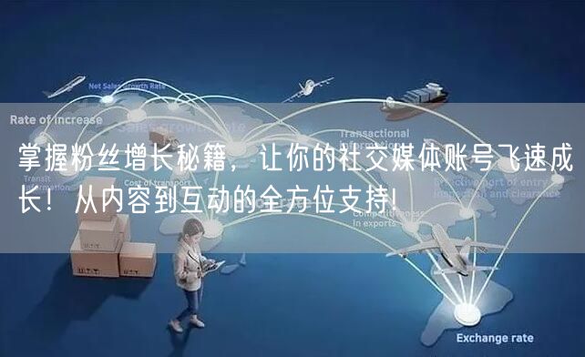 掌握粉丝增长秘籍，让你的社交媒体账号飞速成长！从内容到互动的全方位支持!