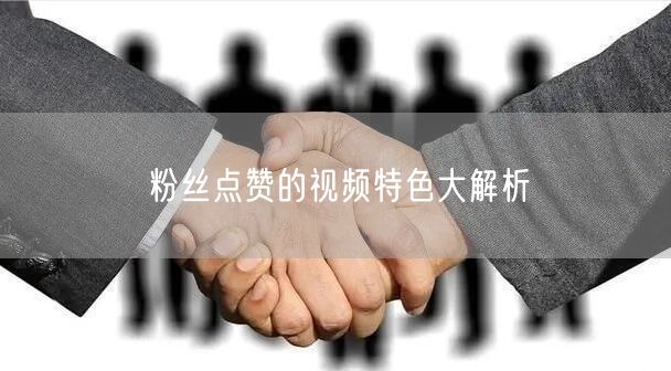 粉丝点赞的视频特色大解析