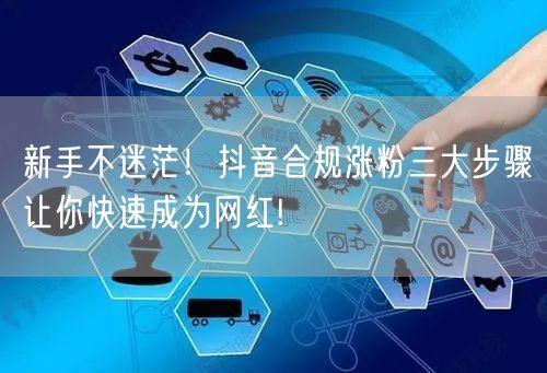 新手不迷茫！抖音合规涨粉三大步骤让你快速成为网红!