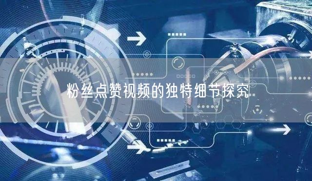 粉丝点赞视频的独特细节探究