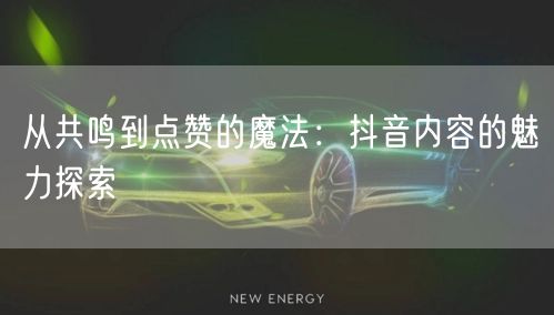 从共鸣到点赞的魔法：抖音内容的魅力探索