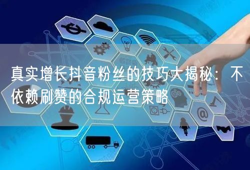 真实增长抖音粉丝的技巧大揭秘：不依赖刷赞的合规运营策略