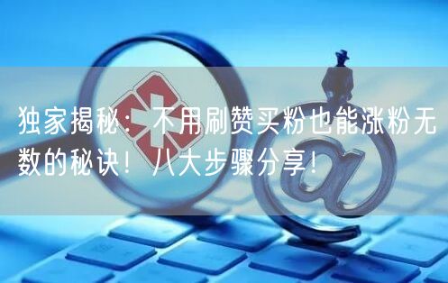 独家揭秘：不用刷赞买粉也能涨粉无数的秘诀！八大步骤分享！