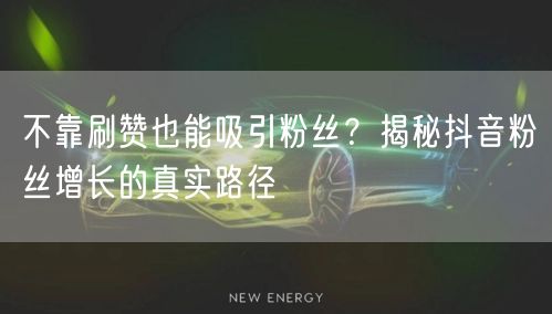不靠刷赞也能吸引粉丝？揭秘抖音粉丝增长的真实路径