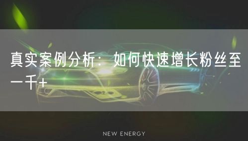 真实案例分析：如何快速增长粉丝至一千+