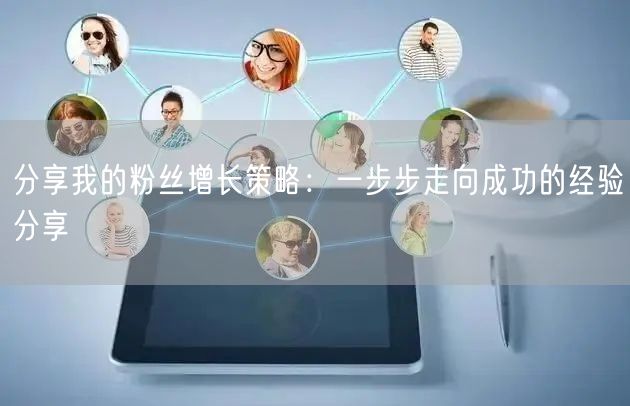 分享我的粉丝增长策略：一步步走向成功的经验分享