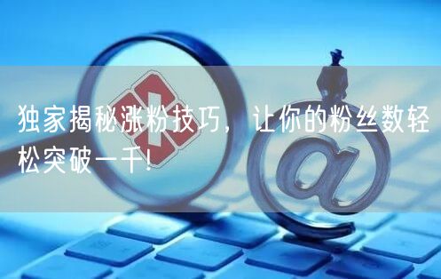 独家揭秘涨粉技巧，让你的粉丝数轻松突破一千!