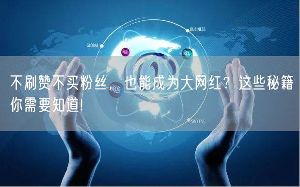 不刷赞不买粉丝，也能成为大网红？这些秘籍你需要知道!
