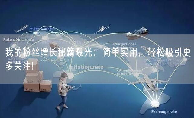 我的粉丝增长秘籍曝光：简单实用，轻松吸引更多关注!