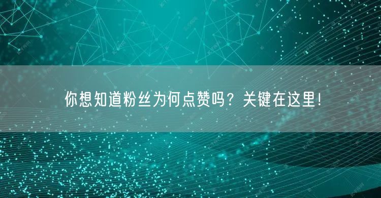 你想知道粉丝为何点赞吗？关键在这里！