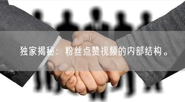 独家揭秘：粉丝点赞视频的内部结构。