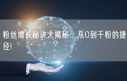 粉丝增长秘诀大揭秘：从0到千粉的捷径!
