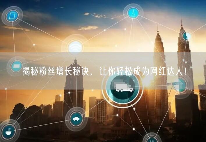 揭秘粉丝增长秘诀，让你轻松成为网红达人！