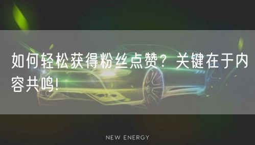 如何轻松获得粉丝点赞？关键在于内容共鸣!