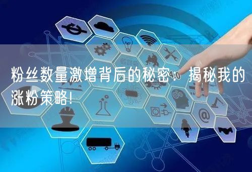 粉丝数量激增背后的秘密：揭秘我的涨粉策略!