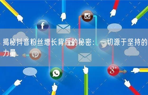 揭秘抖音粉丝增长背后的秘密：一切源于坚持的力量