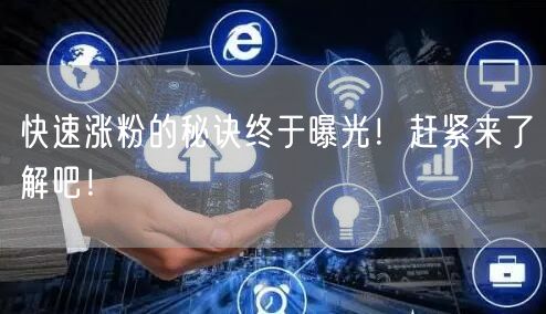 揭秘快速涨粉秘诀，助力社交媒体粉丝飙升！