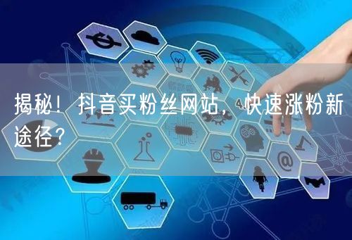 揭秘！抖音买粉丝网站，快速涨粉新途径？