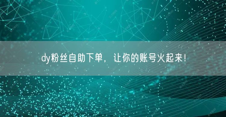 dy粉丝自助下单，让你的账号火起来！