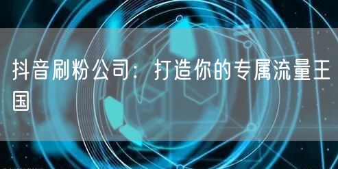 抖音刷粉公司：打造你的专属流量王国
