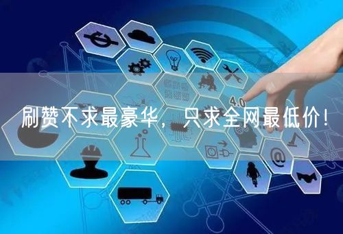 刷赞不求最豪华，只求全网最低价！