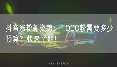 抖音涨粉新姿势：1000粉需要多少预算？快来了解！