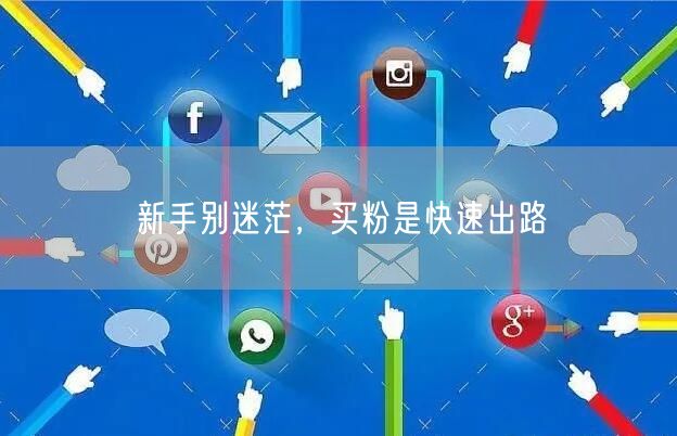 新手别迷茫，买粉是快速出路