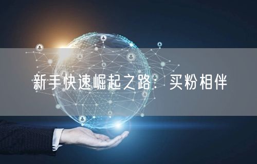 新手快速崛起之路：买粉相伴