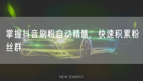 掌握抖音刷粉自动精髓，快速积累粉丝群